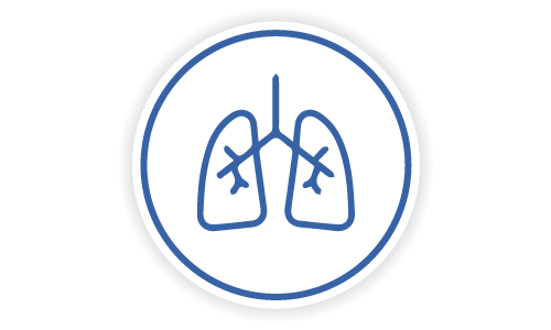 Pulmonary